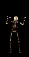 esqueleto.gif (22998 bytes)